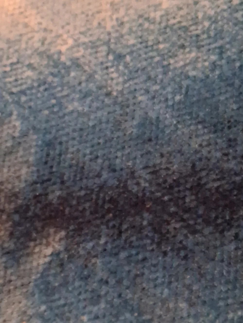 mon chateau plush throw